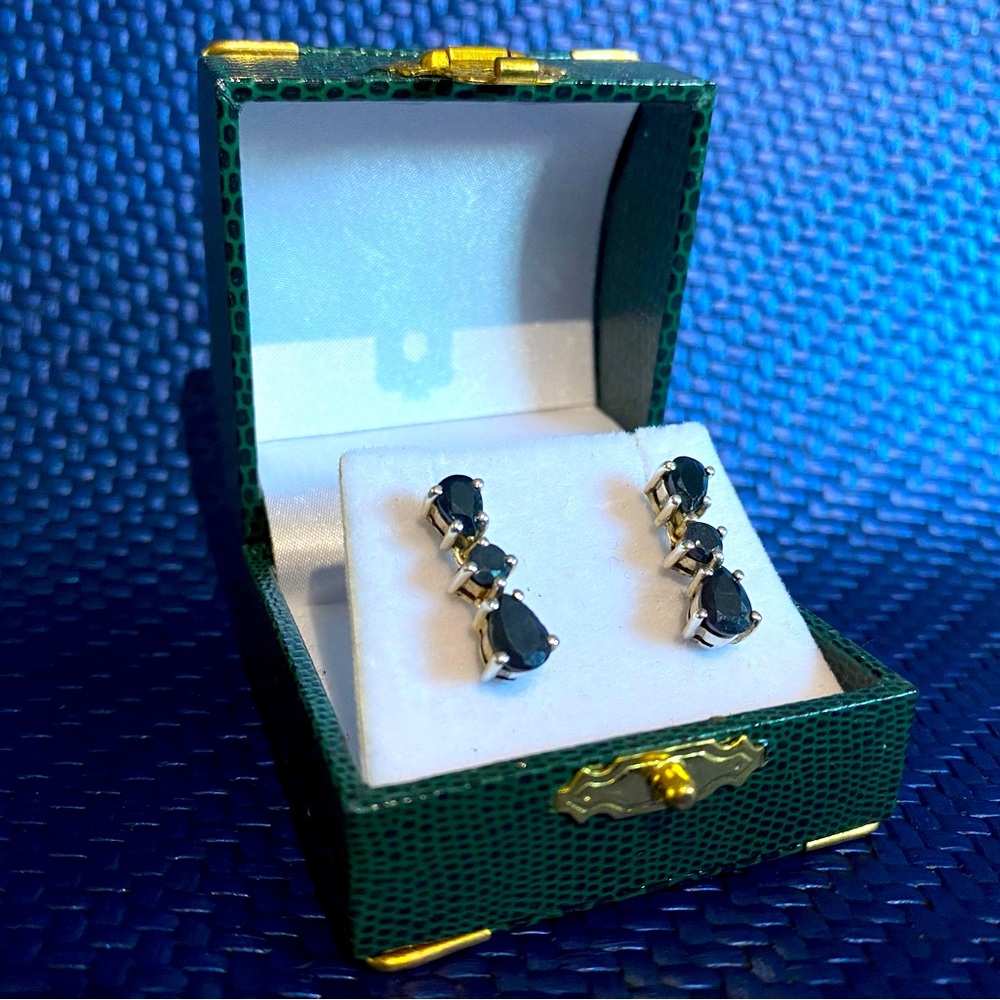 Sterling Silver Black Onyx Earnings